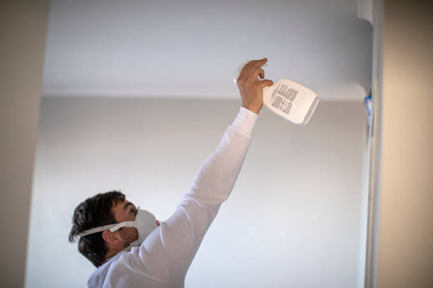 Best Black Mold Remediation in Watsonville, CA