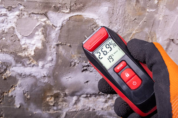 Best Crawl Space Mold Remediation in Watsonville, CA
