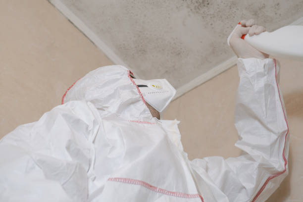 Trusted Watsonville, CA Mold Remediation Experts