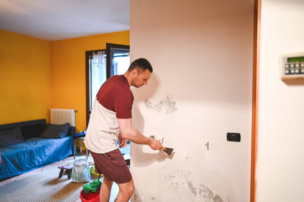 Best Preventive Mold Services in Watsonville, CA